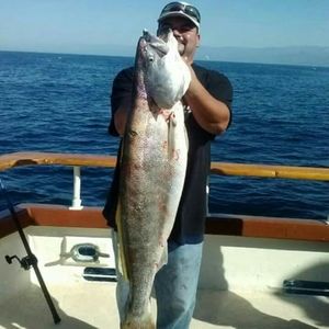 Meet your Posher, Greg